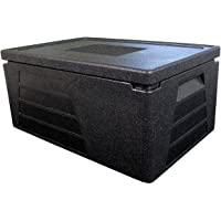 Termo profesional- recipiente térmico- caja aislante- nevera GN 1-1 con 230 mm de altura útil